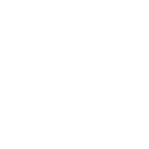 elektroauto