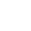 euro (1)