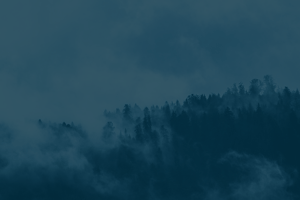 fog-1535201_640-overlay (1)