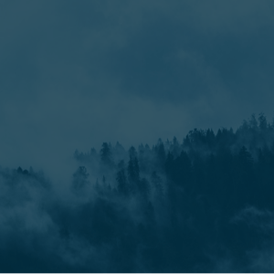 Pressemitteilung Gründung Initiative